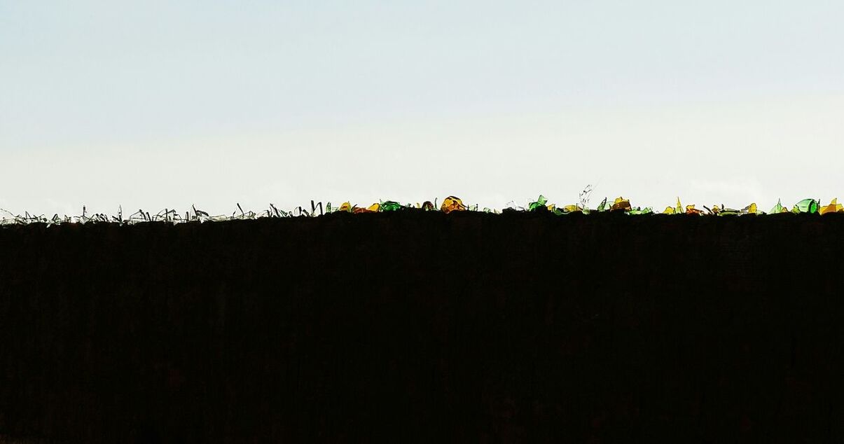 VIEW OF TREES AGAINST SKY