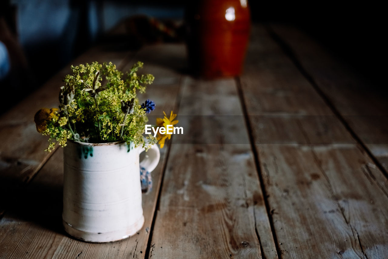 close-up of potted plant on wooden table