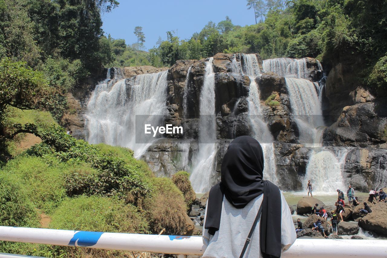 Rear view of waterfall against trees