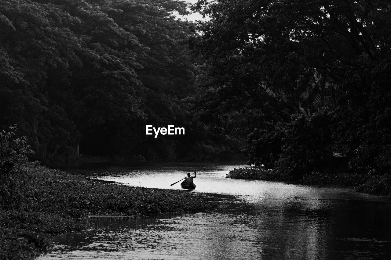 Man kayaking on lake against trees in forest