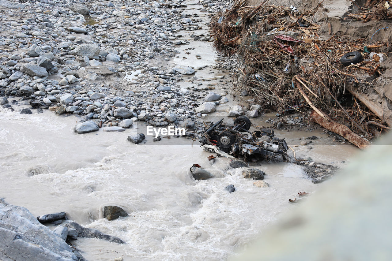 HIGH ANGLE VIEW OF STARFISH ON ROCKS AT SHORE