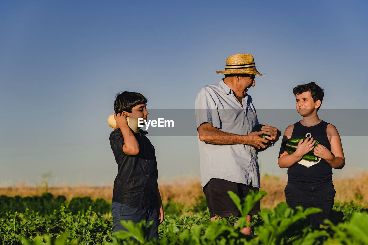 Unrecognizable male farmer in hat working in field with kids and together picking ripe zucchini in summer day in countryside