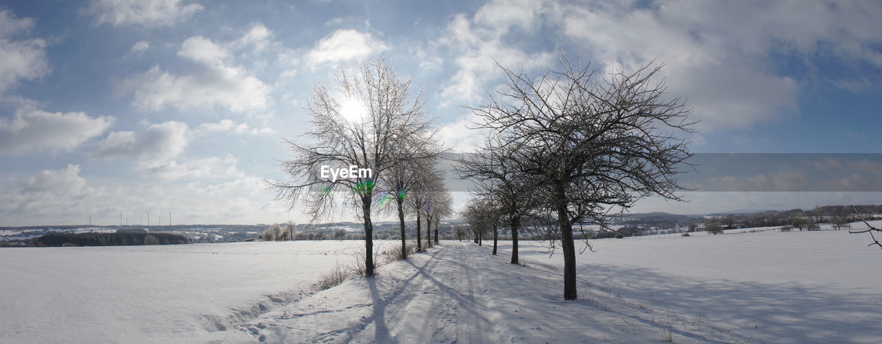 BARE TREES ON SNOW COVERED LAND AGAINST SKY