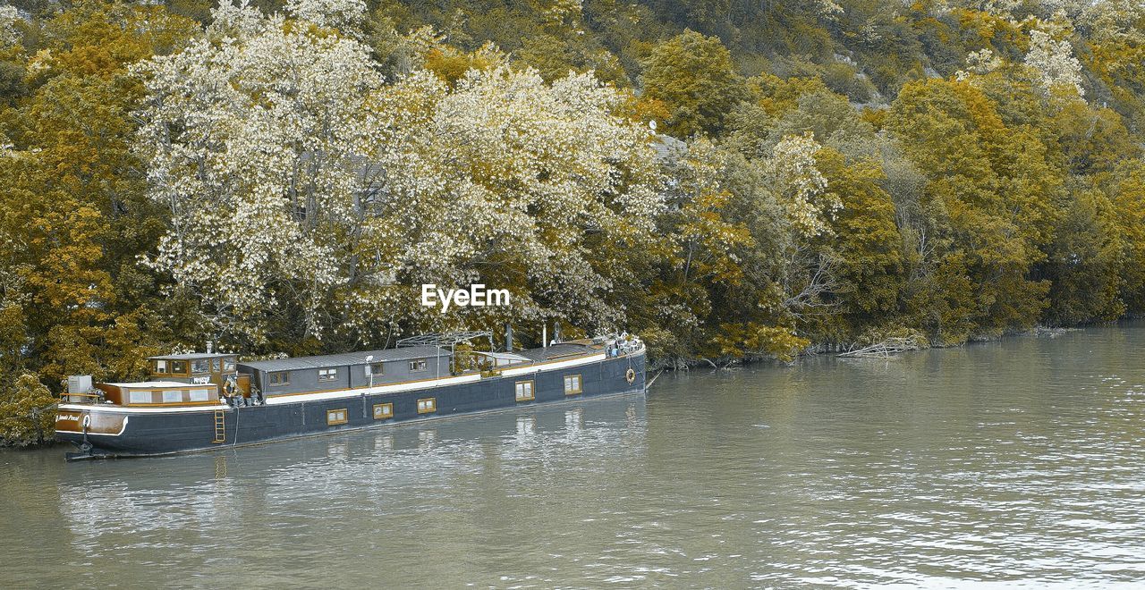 Boat moored by trees on river