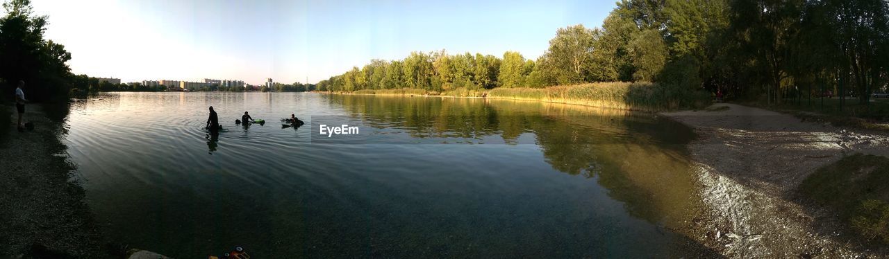 SWANS SWIMMING IN LAKE AGAINST TREES