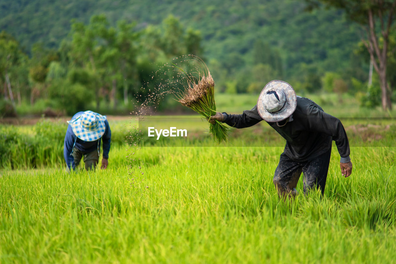 MEN WORKING ON FIELD