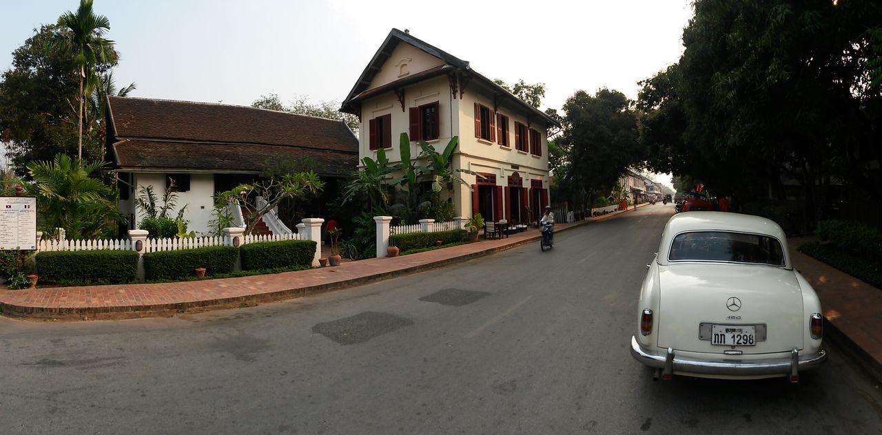 CARS ON STREET BY BUILDINGS AND TREES AGAINST SKY