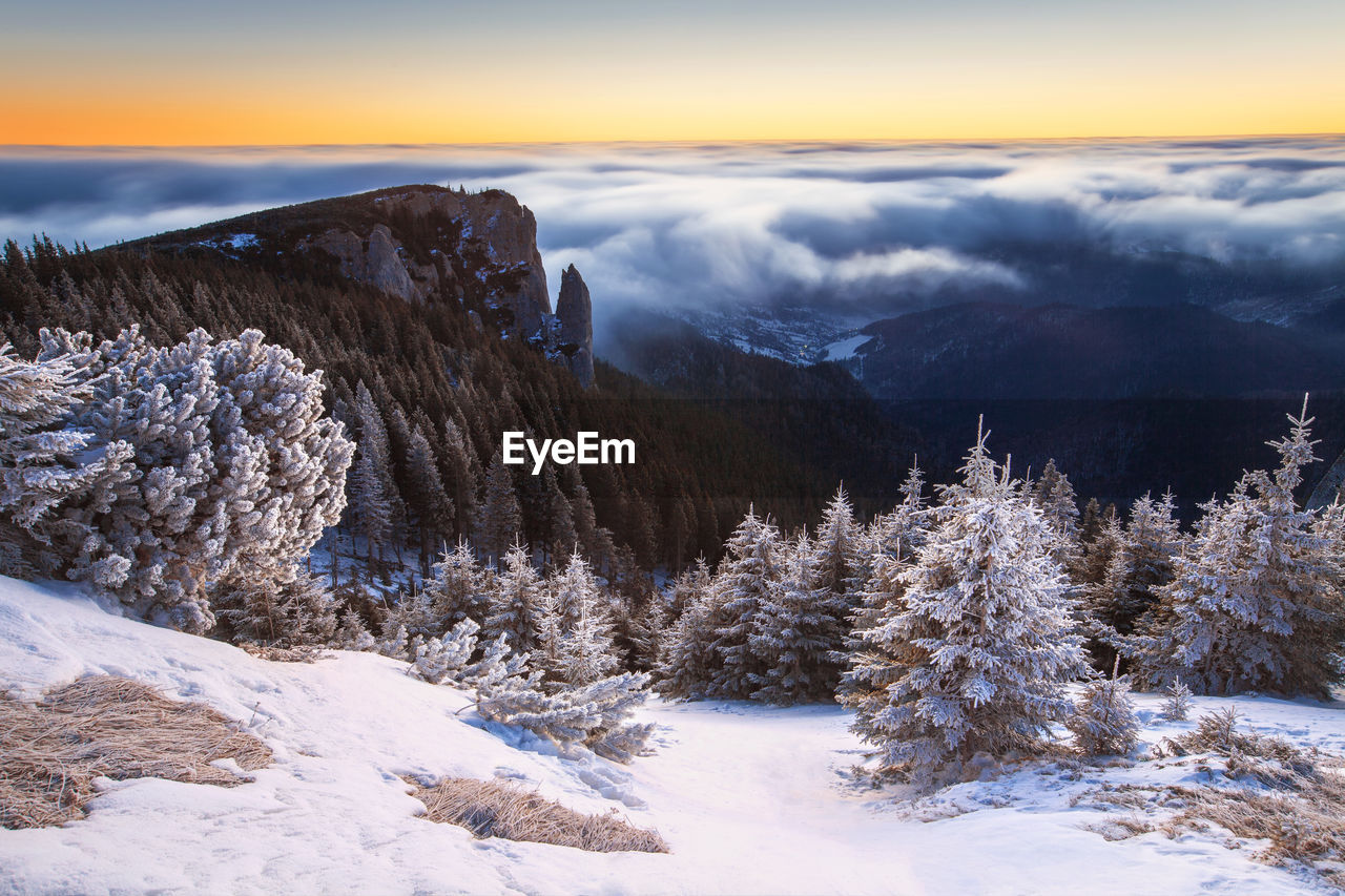 Scenic view of snow covered landscape against sky during winter