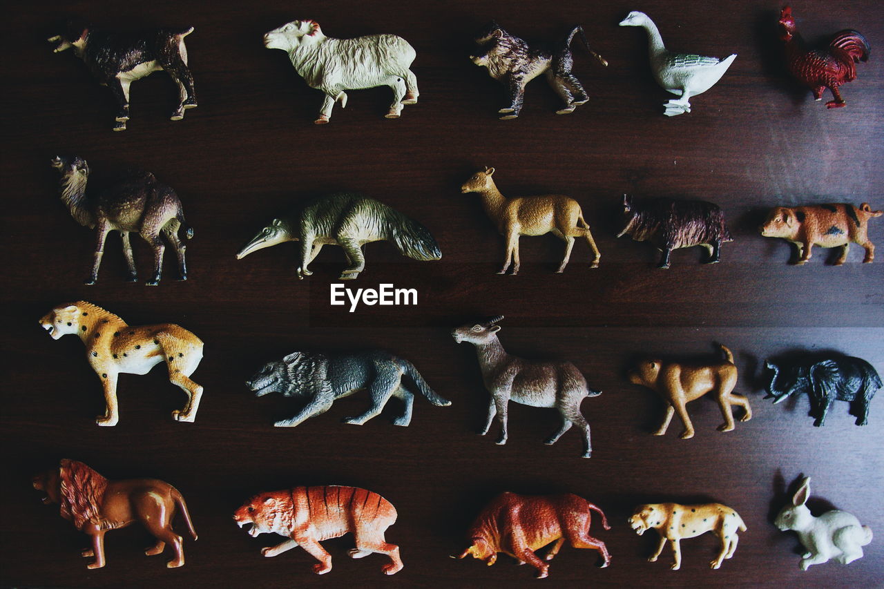 Close-up of animal representations