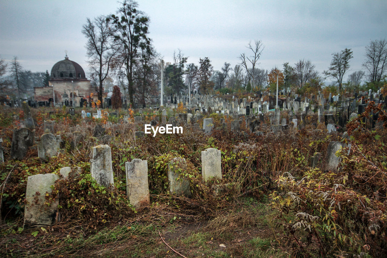 VIEW OF CEMETERY