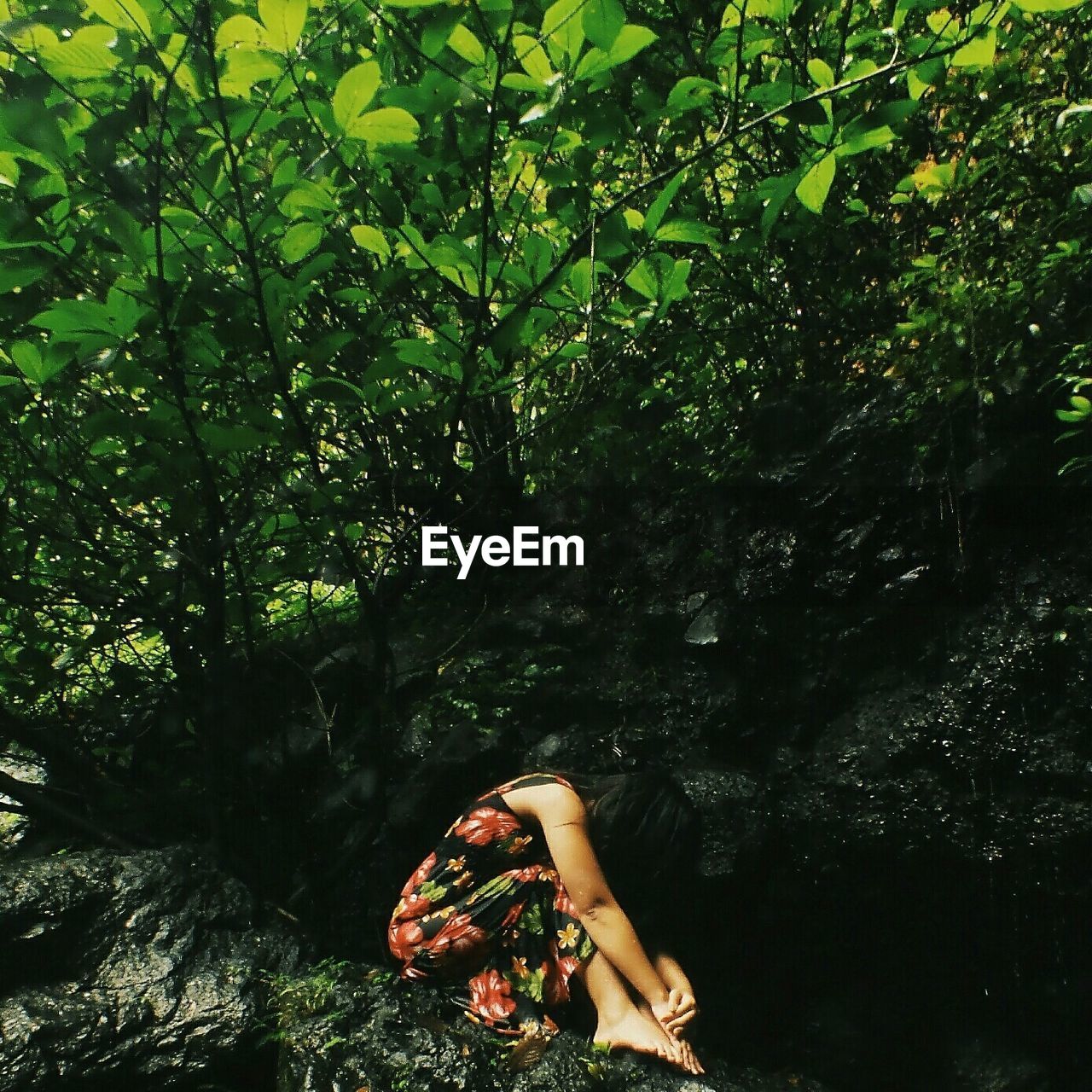 WOMAN STANDING ON TREE TRUNK