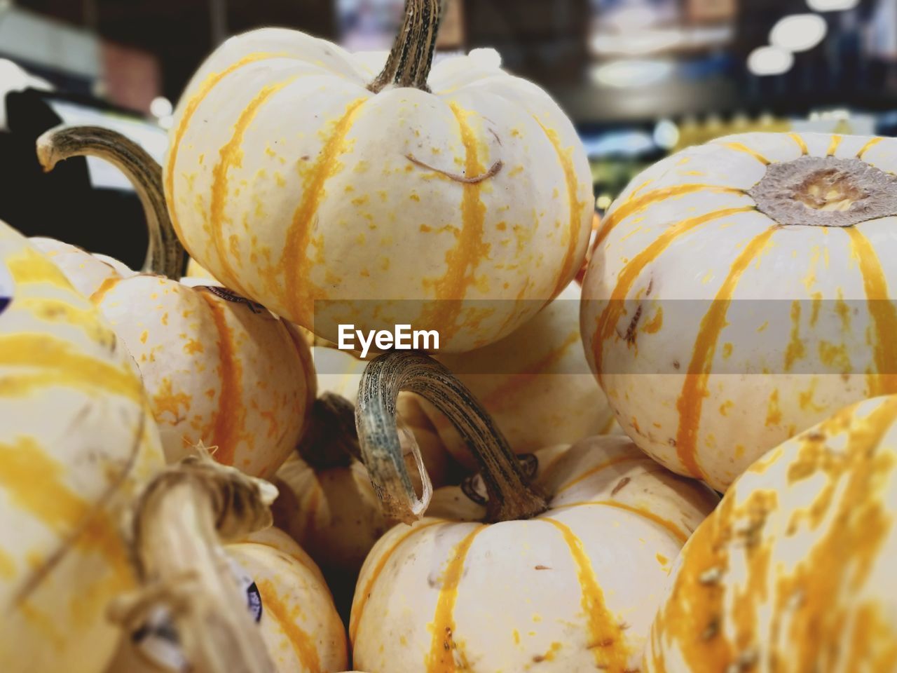 CLOSE-UP OF PUMPKINS FOR SALE