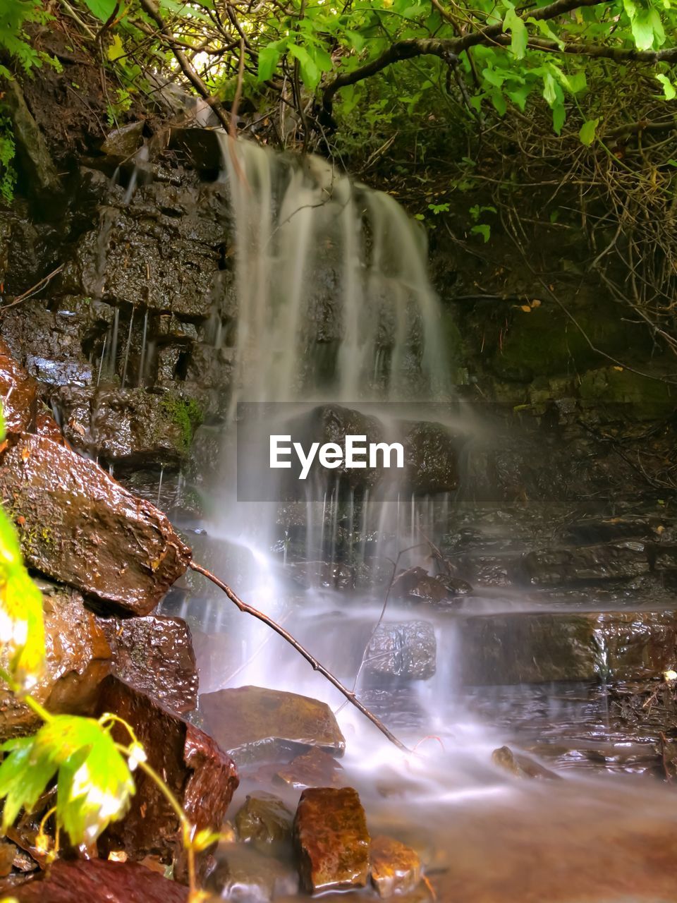 Close-up of waterfall in forest