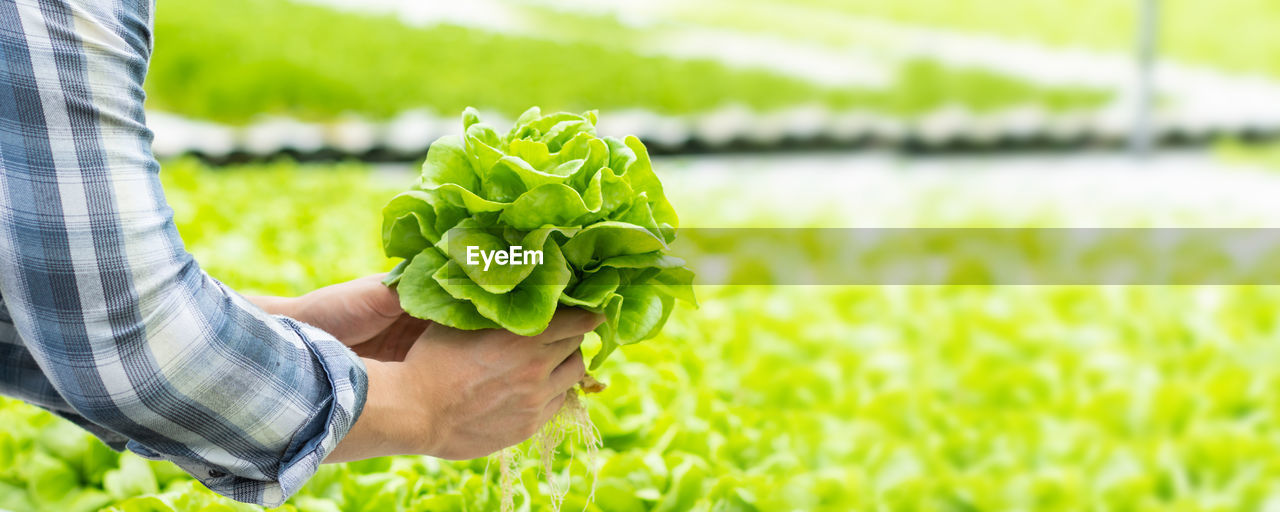 MIDSECTION OF MAN HOLDING PLANT AT FIELD