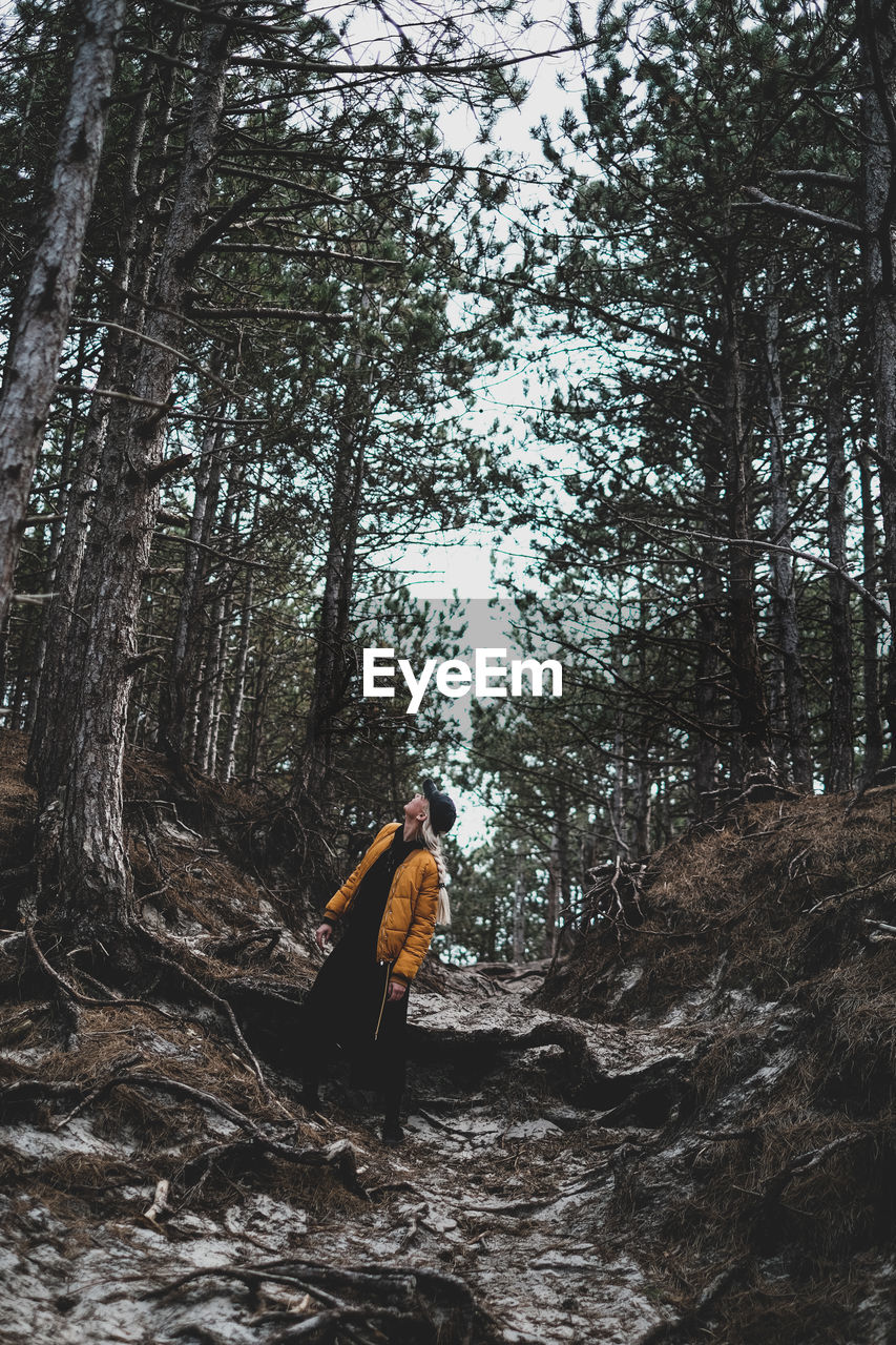 Woman standing amidst trees in forest