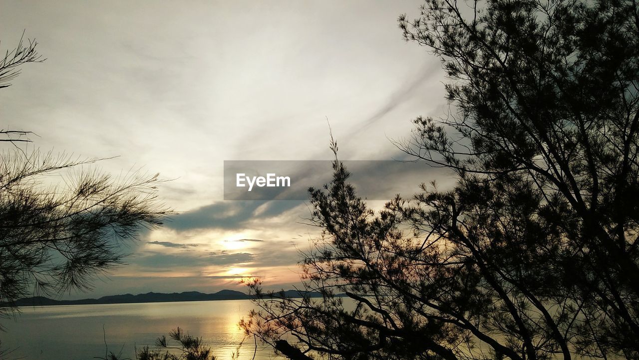 SILHOUETTE BARE TREES BY LAKE AGAINST SKY DURING SUNSET