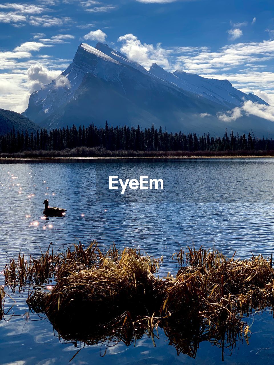 Mount rundle morning