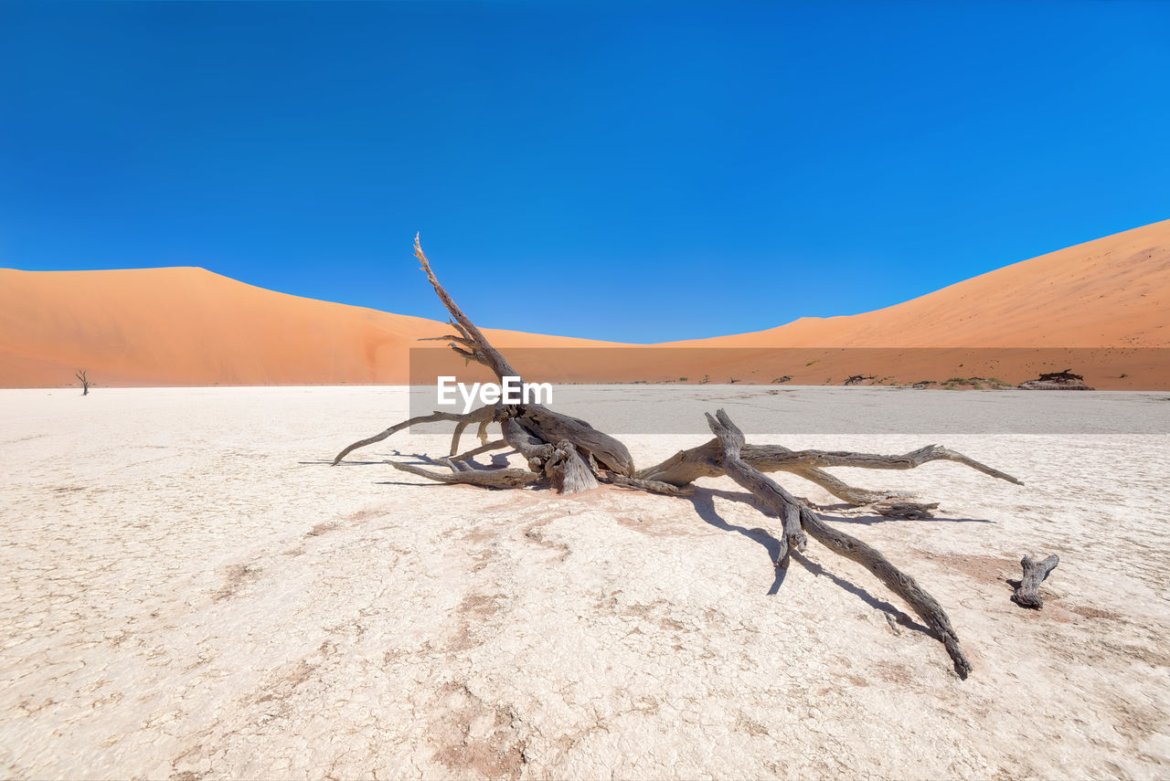 Dead vlei in naukluft national park, namibia, taken in january 2018