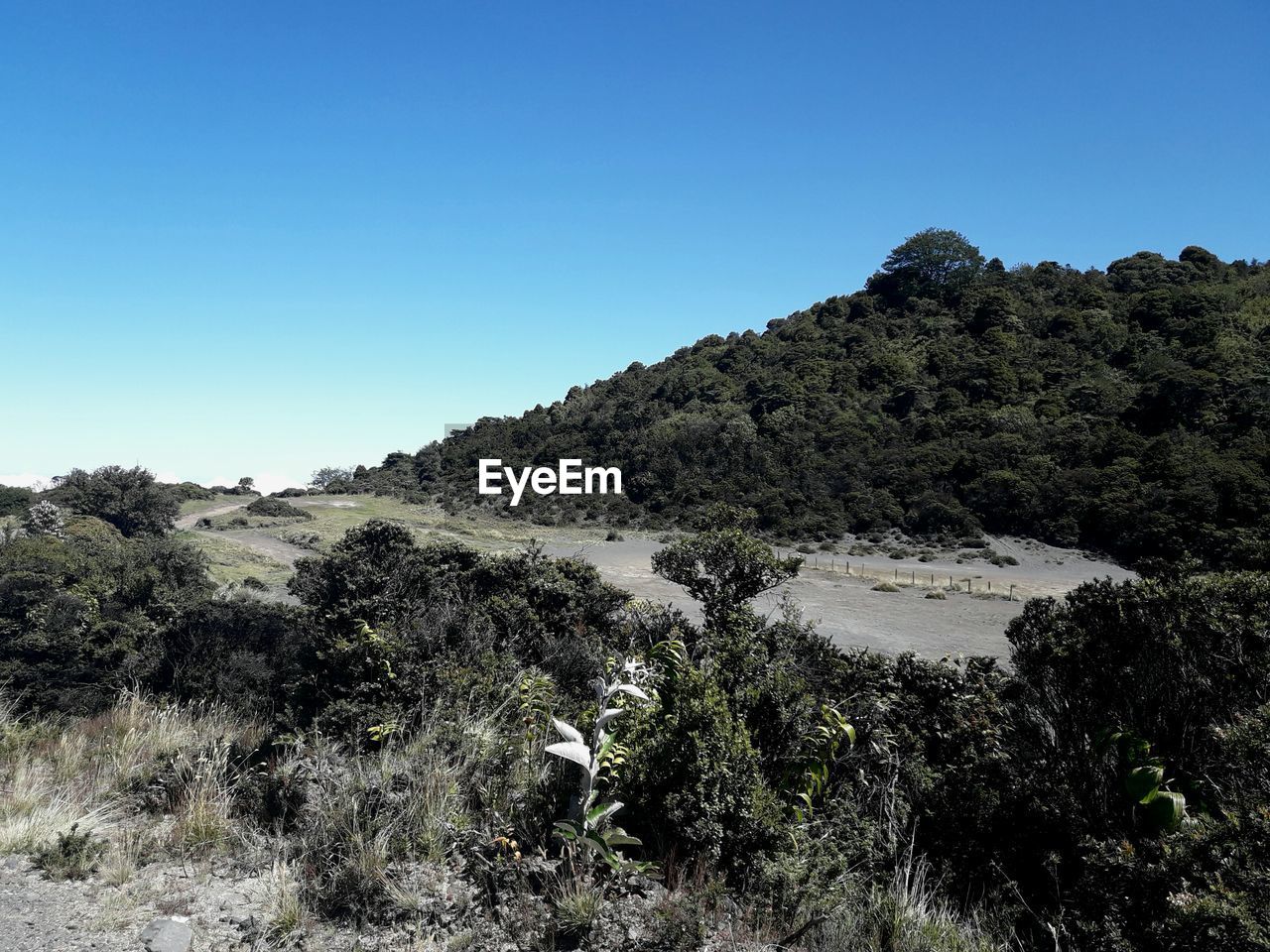 Scenic view of landscape against clear blue sky