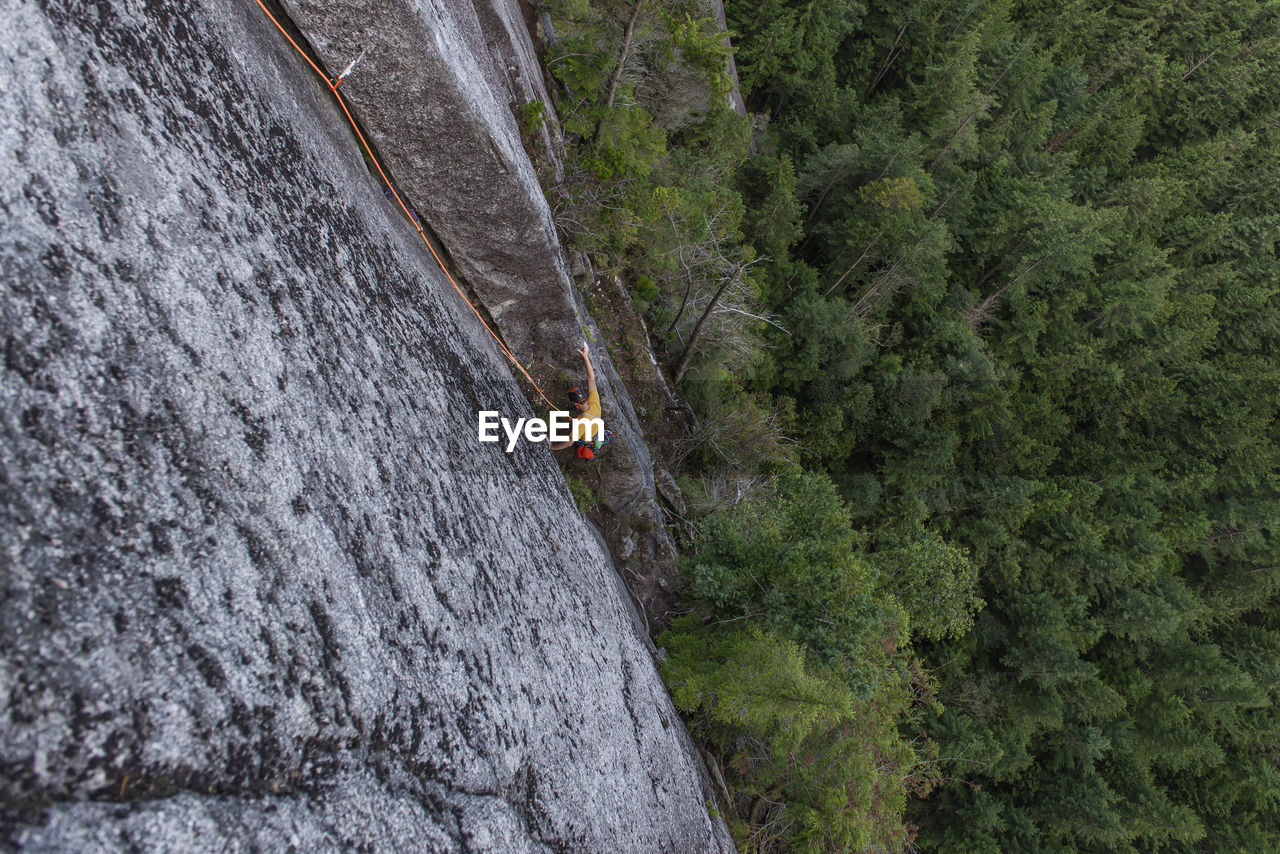 Climber starting long crack during multipitch climb above forest