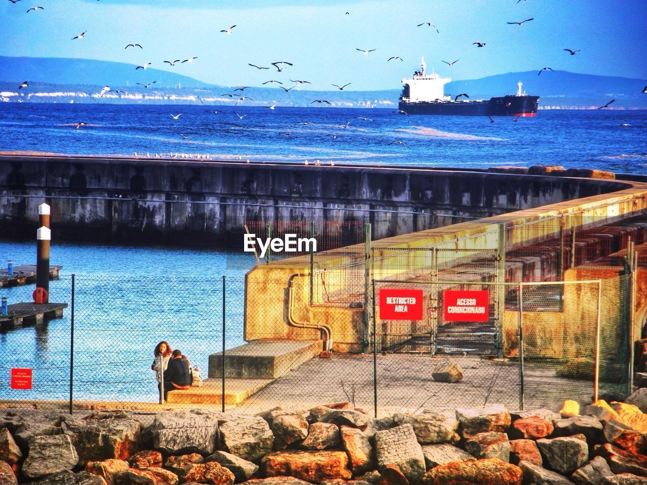 Birds flying over cascais bay against blue sky