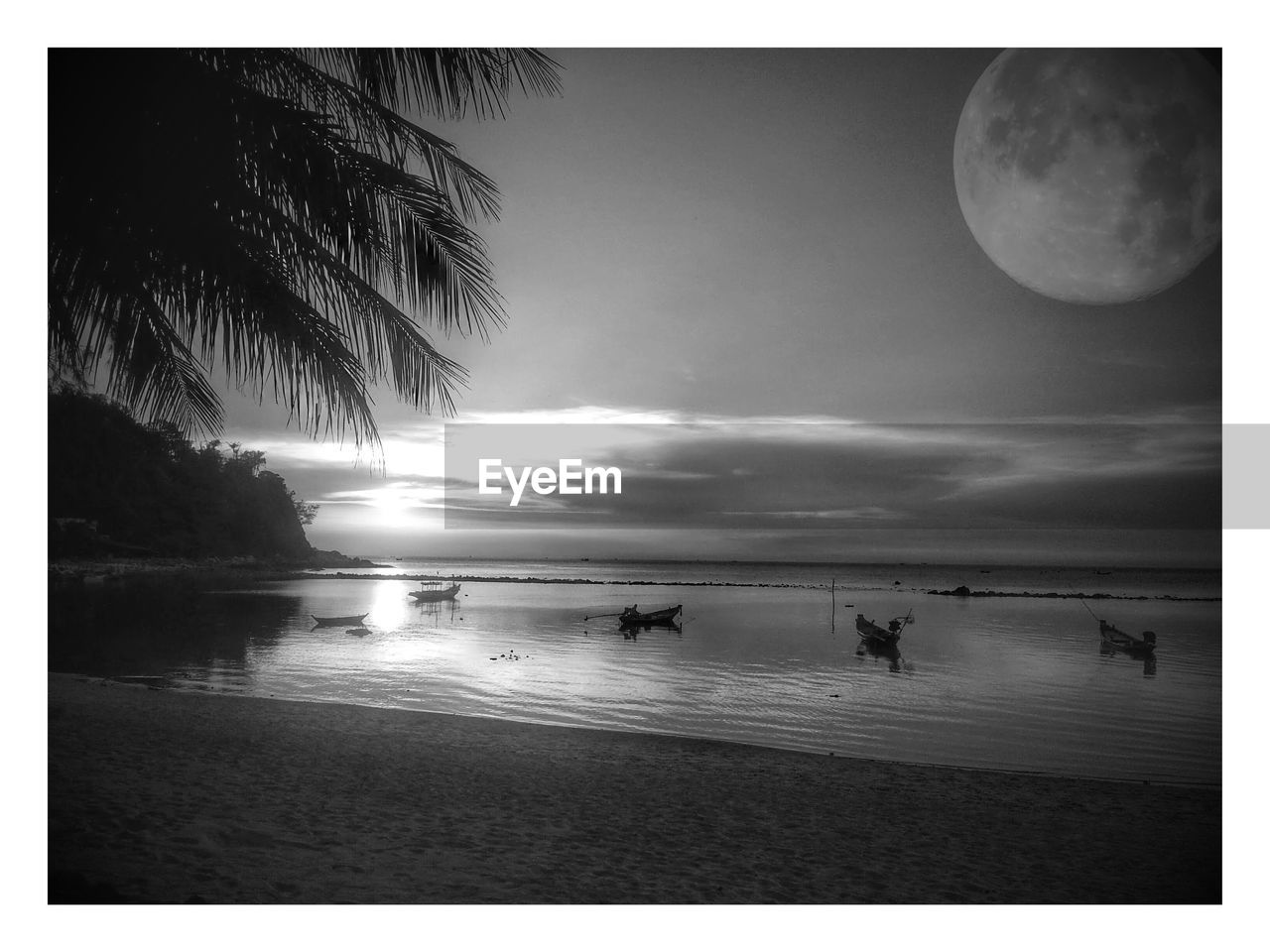 Scenic view of beach against moon in sky at night