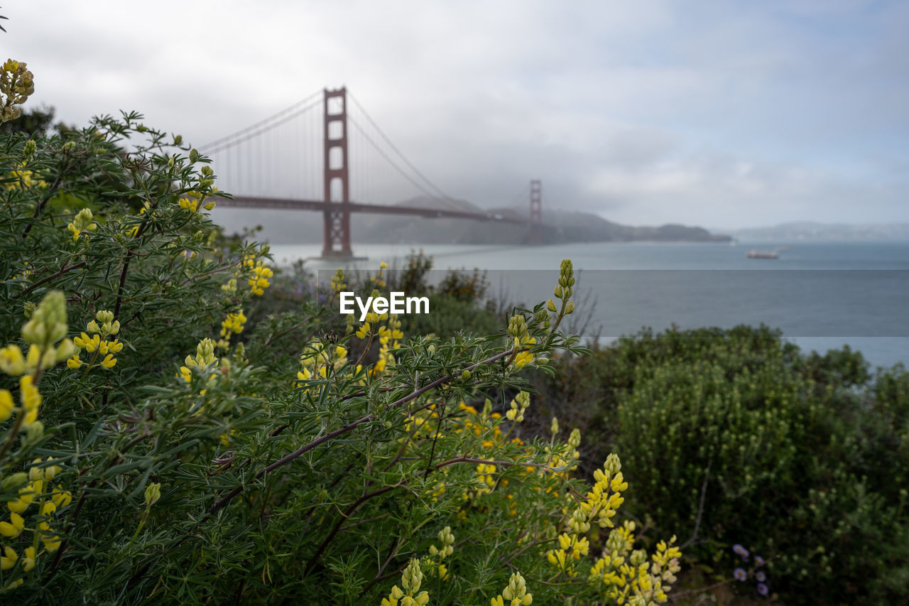 View of suspension bridge against cloudy sky