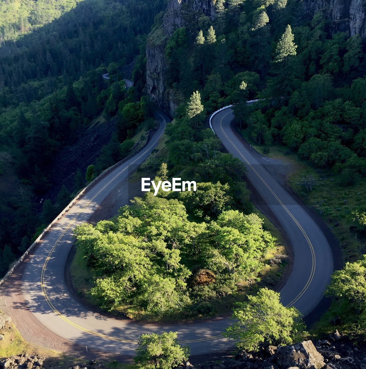 High angle view of road amidst trees in forest