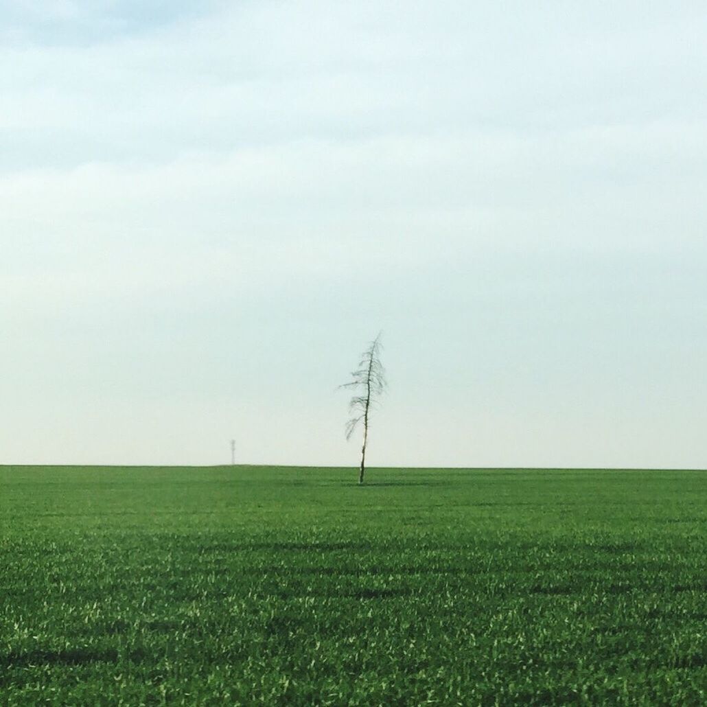 WINDMILL ON LANDSCAPE AGAINST SKY