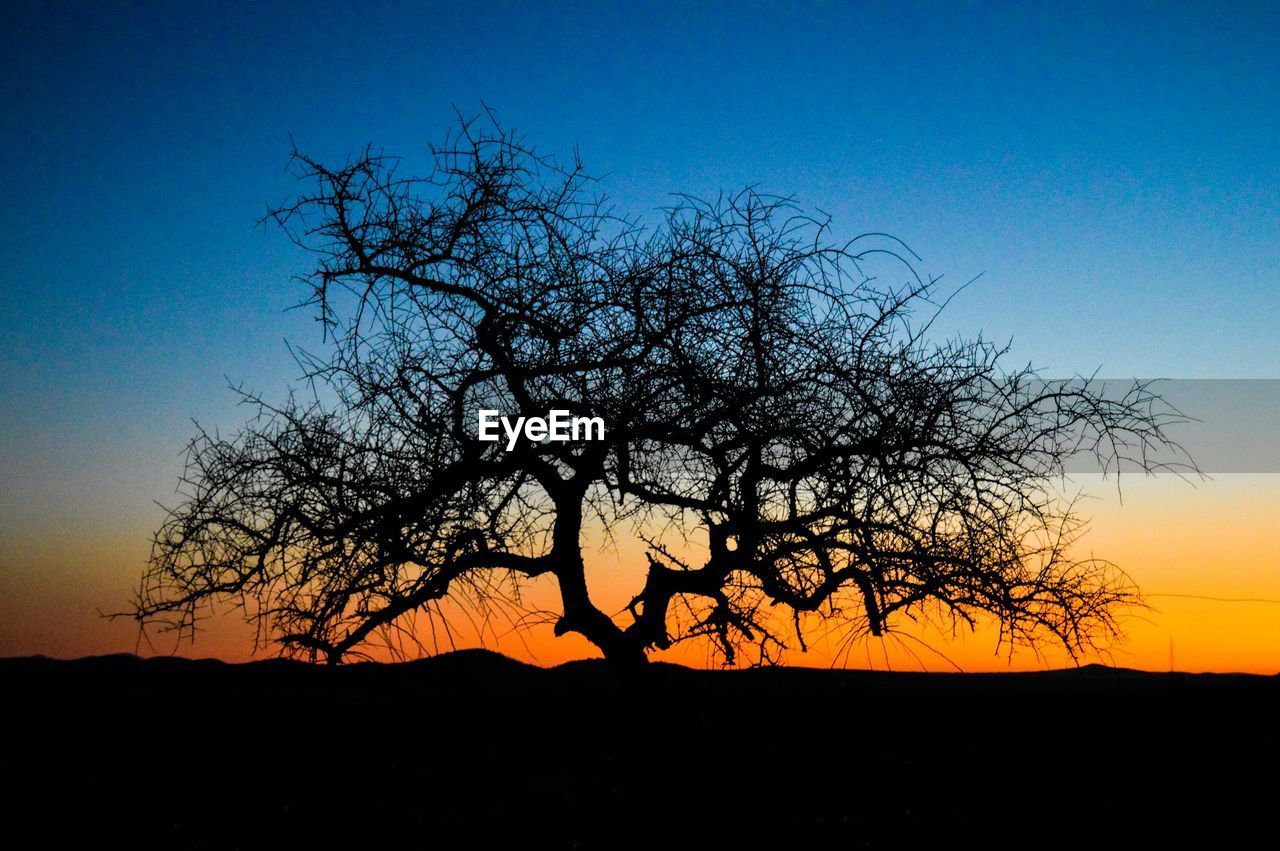 Silhouette bare tree on field against clear sky during sunset