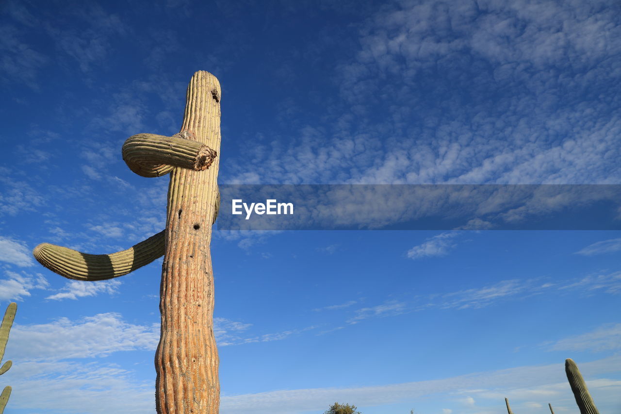 LOW ANGLE VIEW OF TRADITIONAL WINDMILL AGAINST SKY