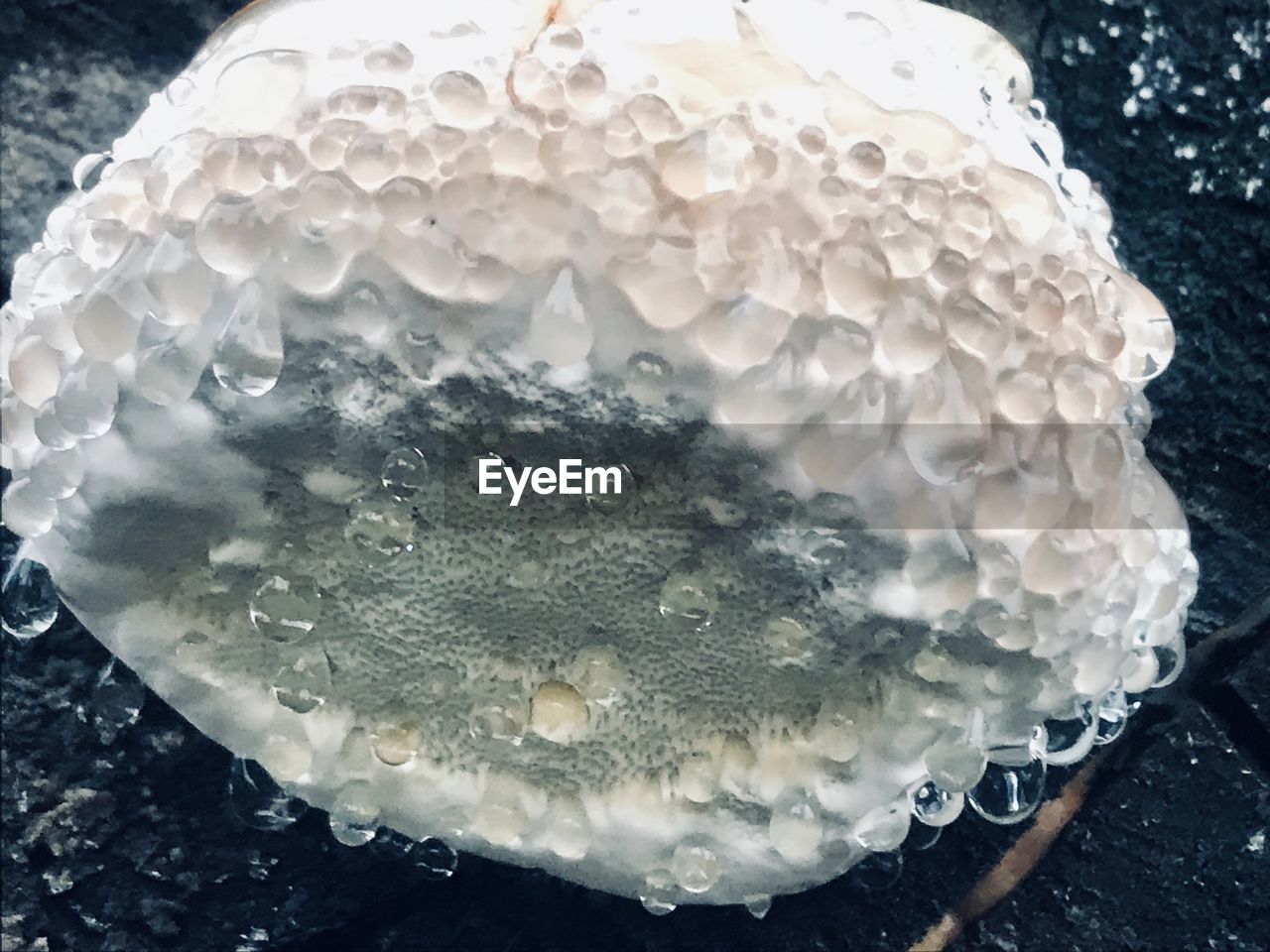 HIGH ANGLE VIEW OF WATER DROPS ON TABLE