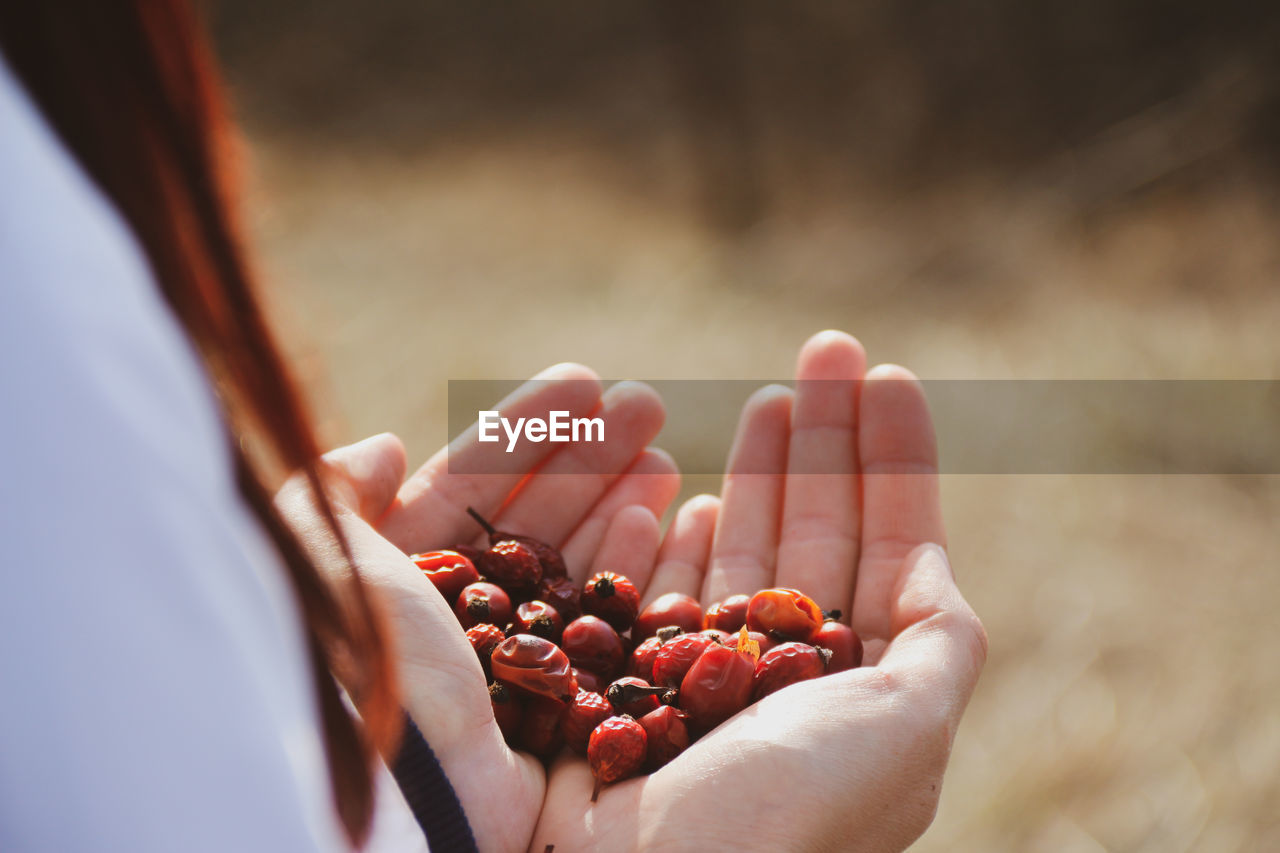 Midsection of woman holding berries outdoors