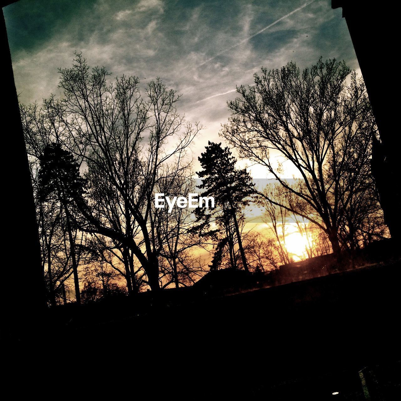 LOW ANGLE VIEW OF SILHOUETTE BARE TREES AGAINST SUNSET SKY