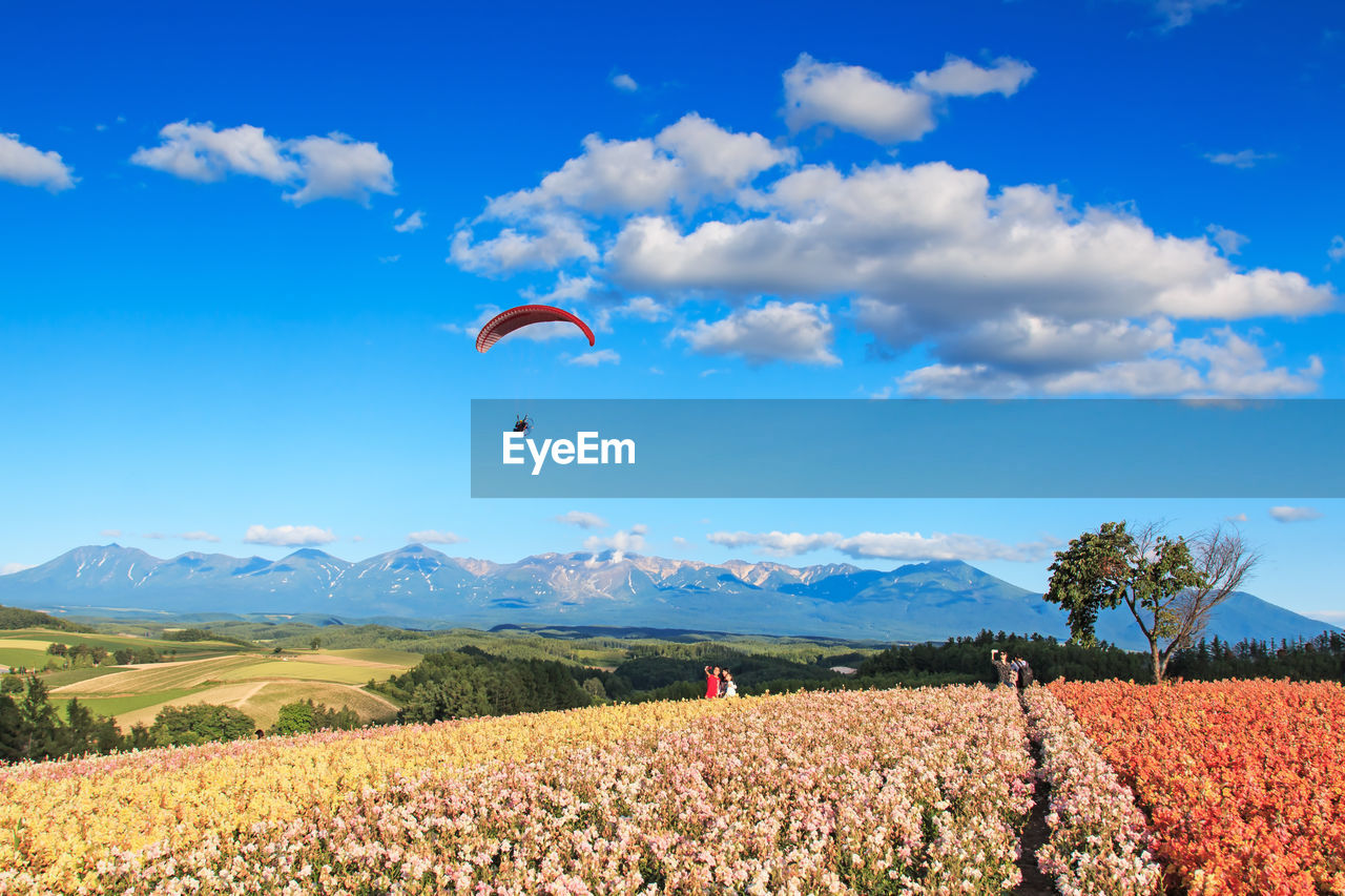 Scenic view of paraglider above field against blue sky