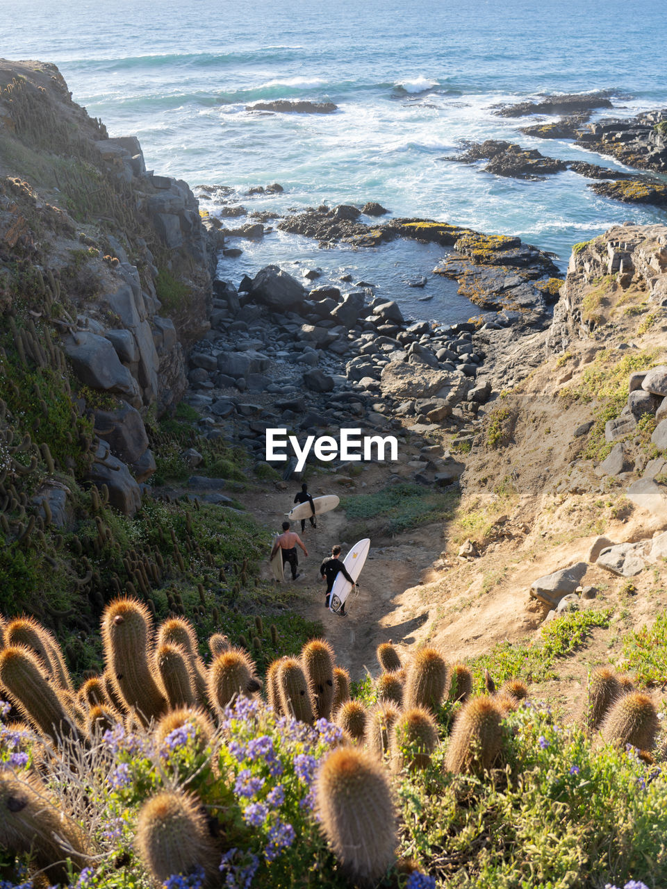 SCENIC VIEW OF BEACH