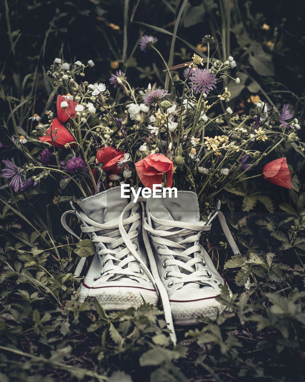 Still life of shoes and wild flowers