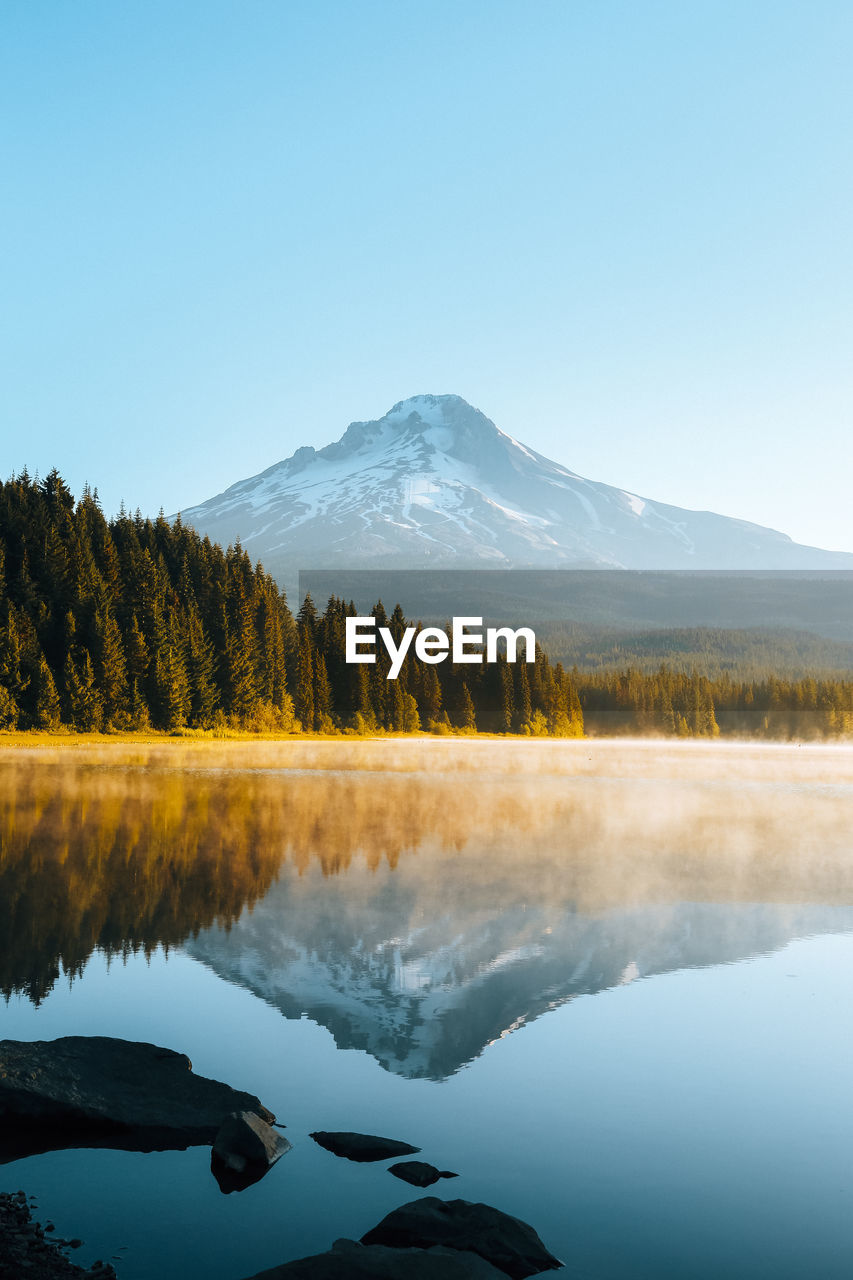 Scenic view of lake by trees against clear sky