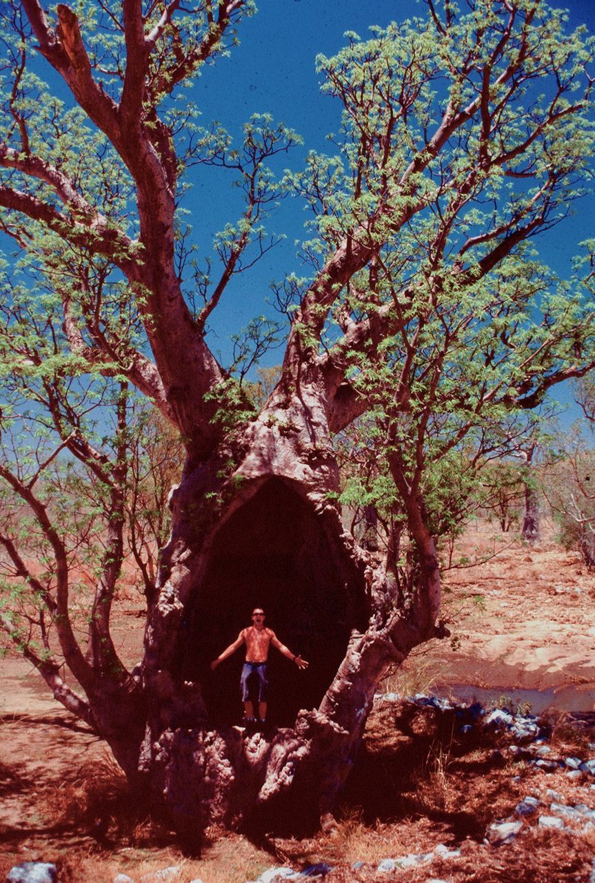 Shirtless man standing on tree against sky