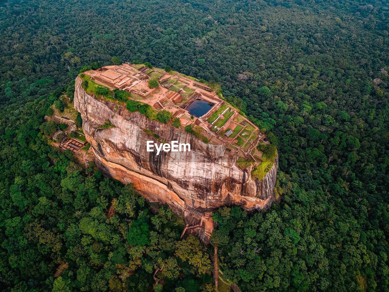 HIGH ANGLE VIEW OF TREES ON MOUNTAIN