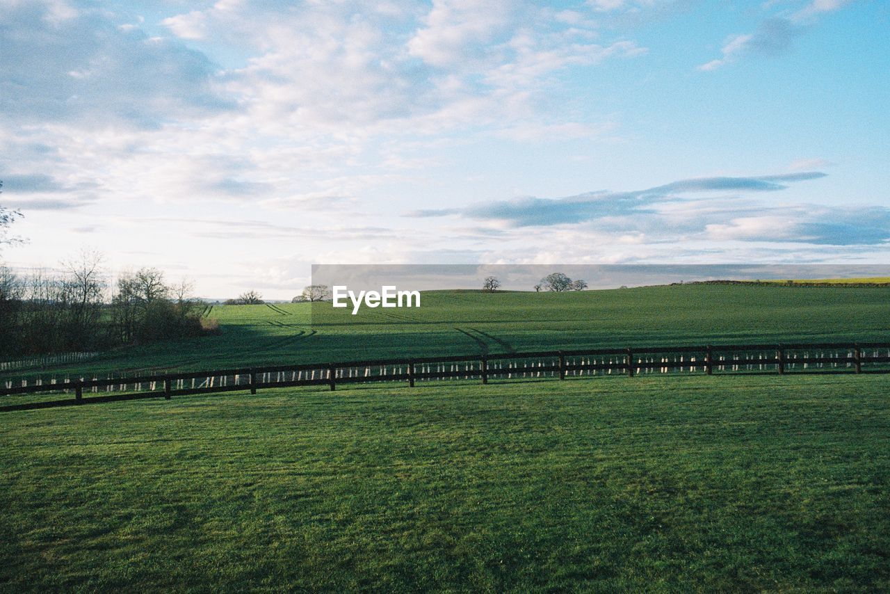 Scenic view of agricultural field against sky