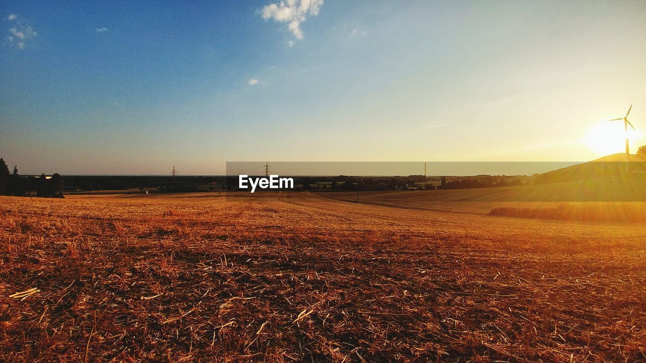 FIELD AGAINST SKY DURING SUNSET