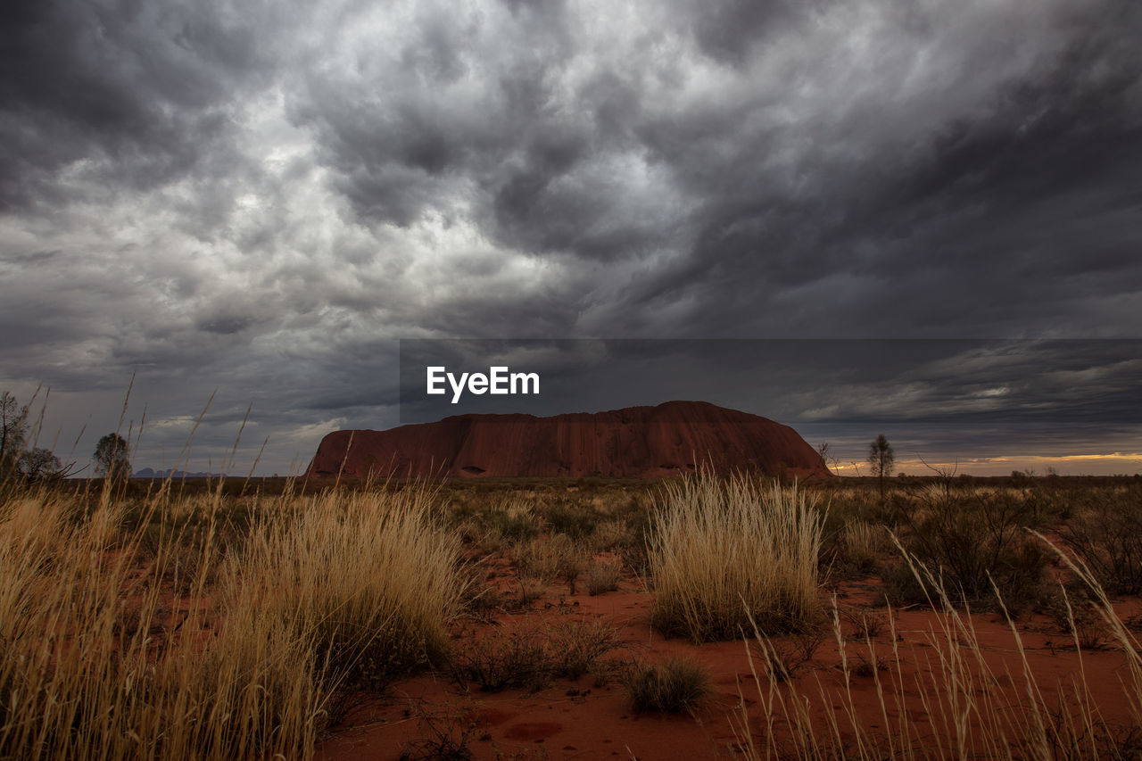 Scenic view of field against cloudy sky