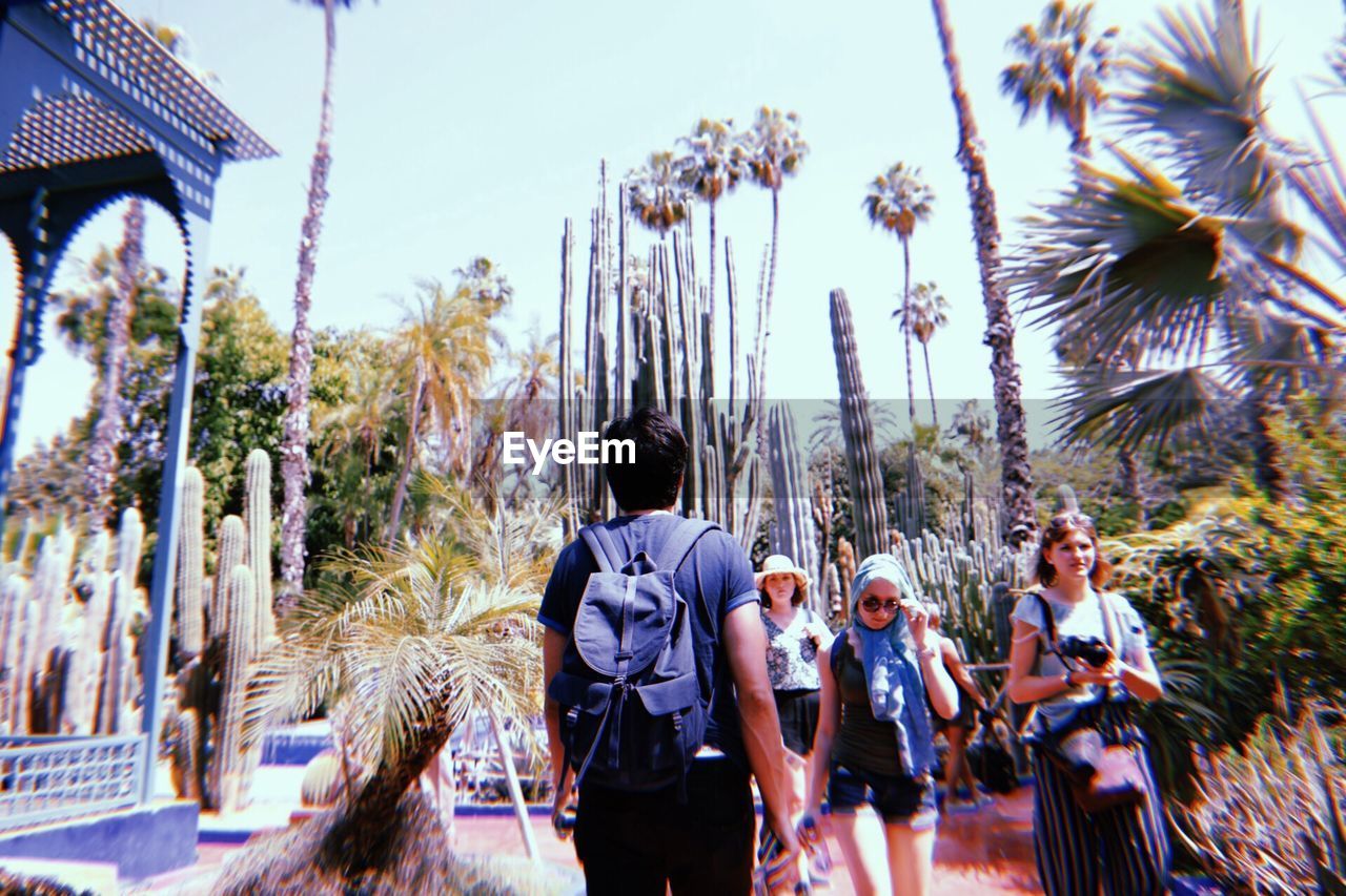 REAR VIEW OF PEOPLE STANDING BY PALM TREES AGAINST SKY