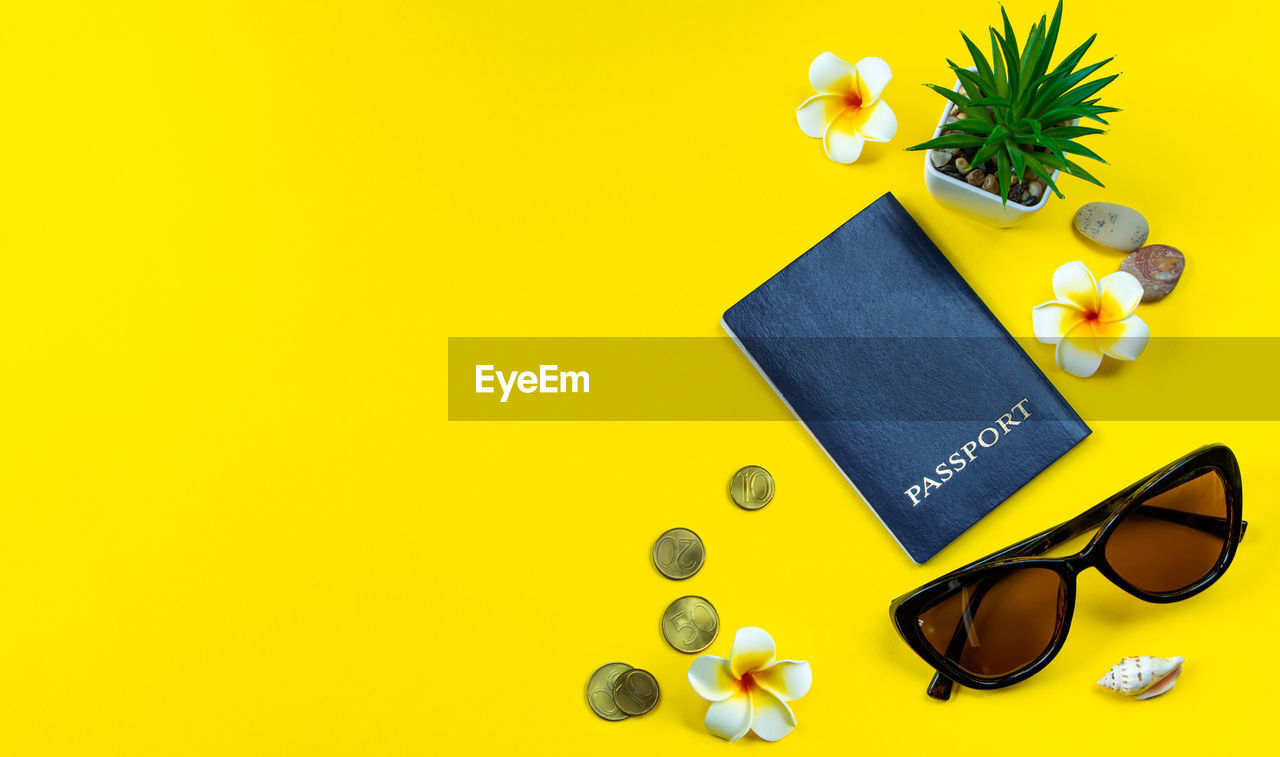 Flatlay accessories for summer vacation. travel planning. passport, money, sunglasses