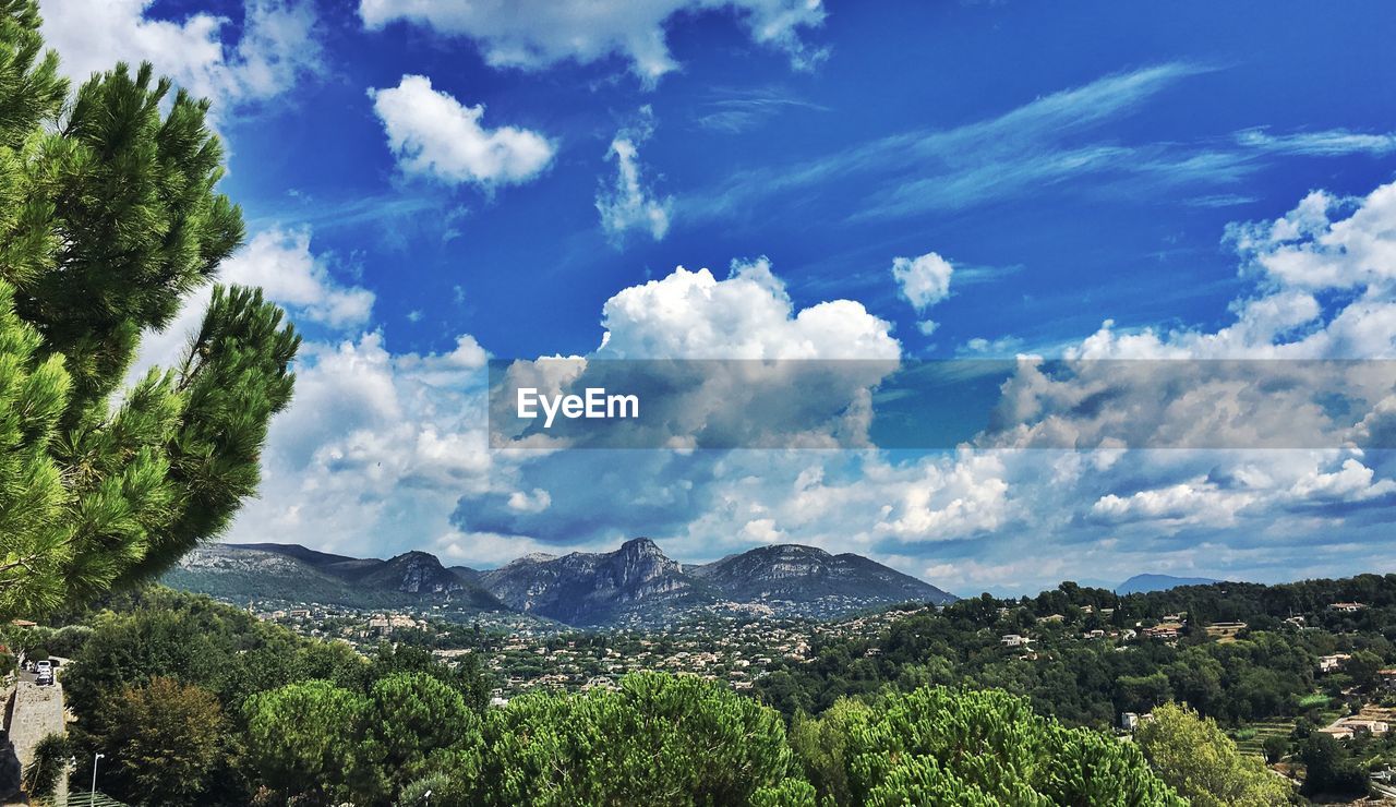 PANORAMIC VIEW OF TREES ON LANDSCAPE AGAINST SKY