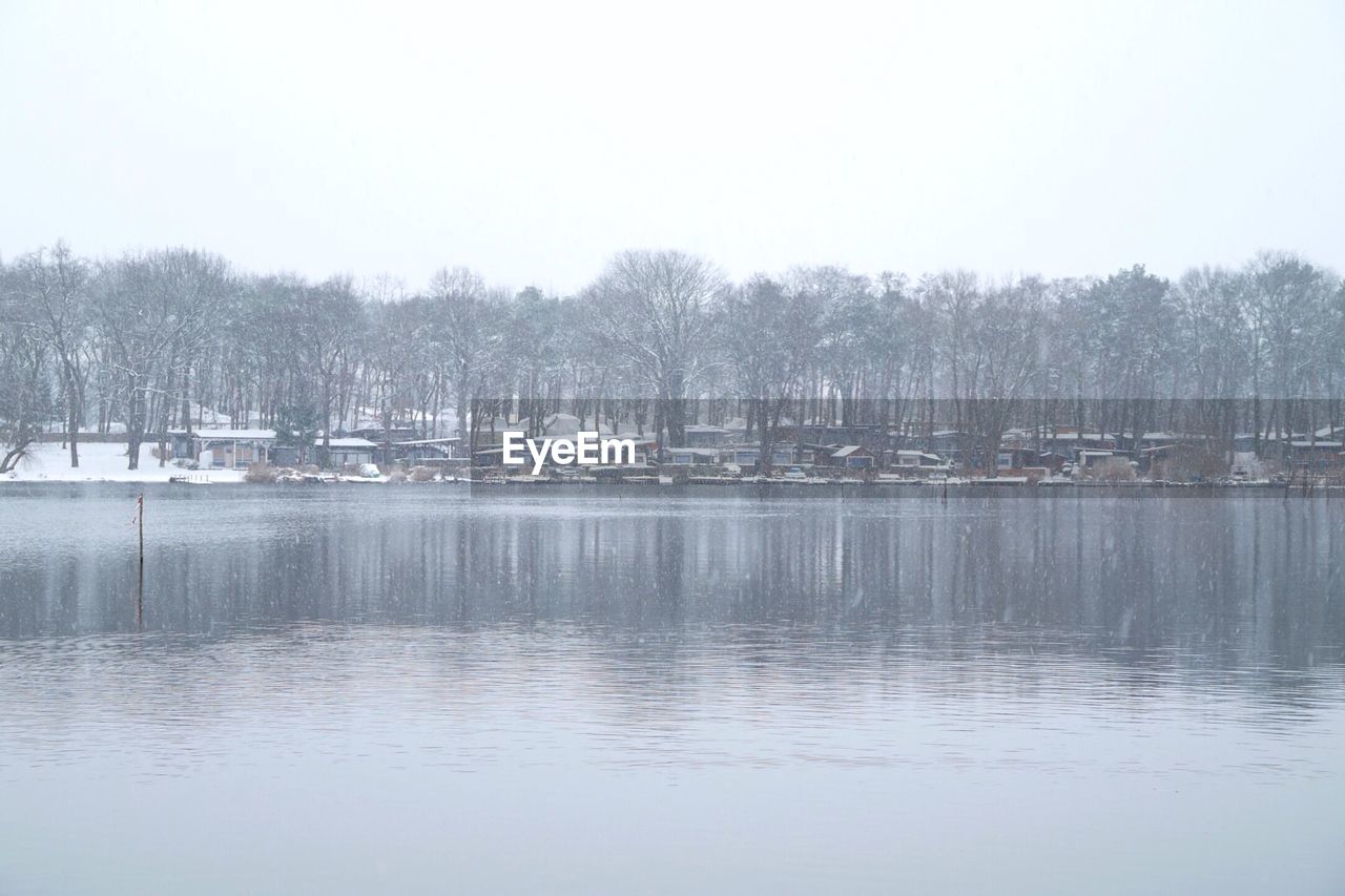Bare trees by river against clear sky