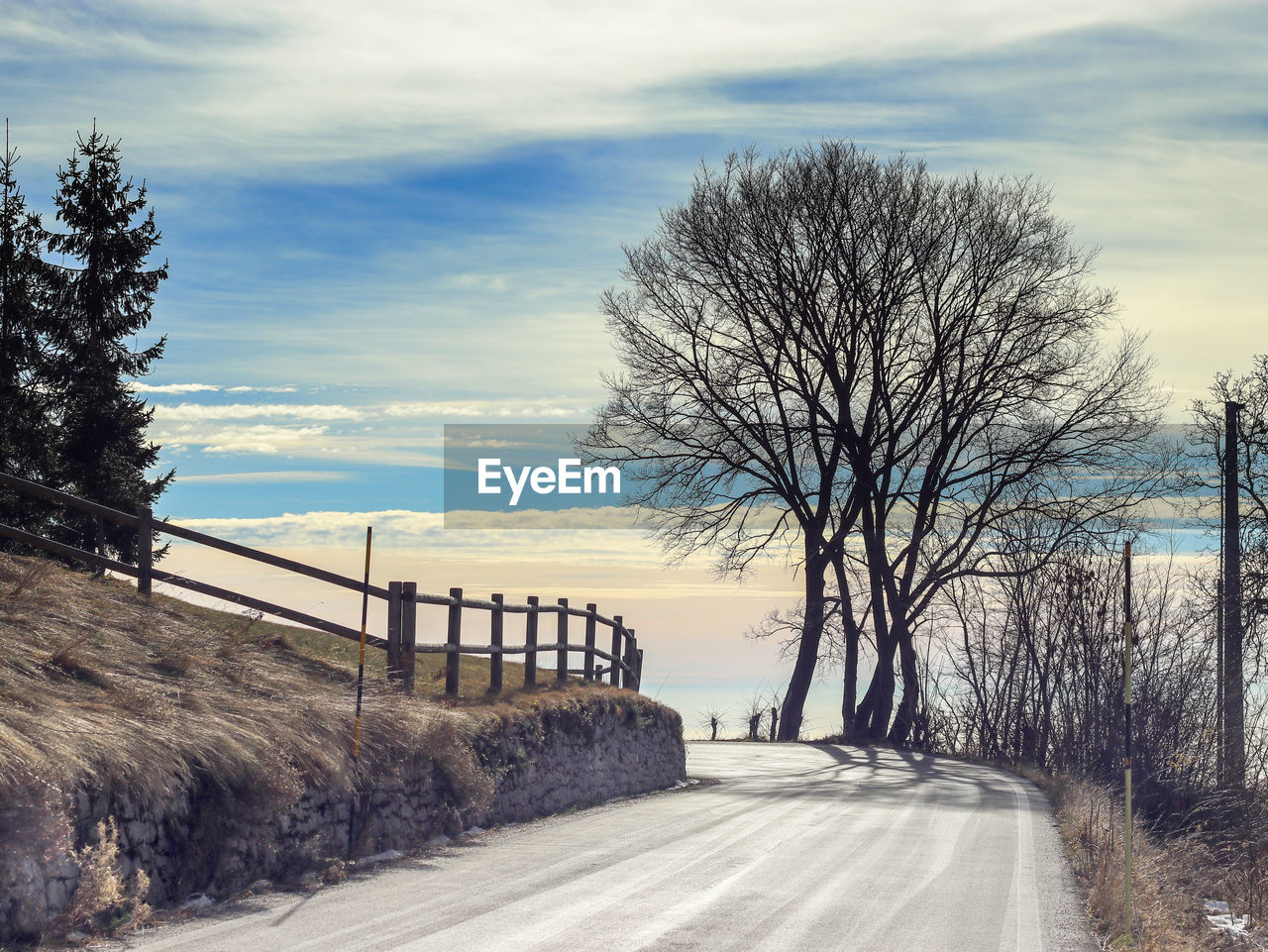 Empty road along bare trees against sky