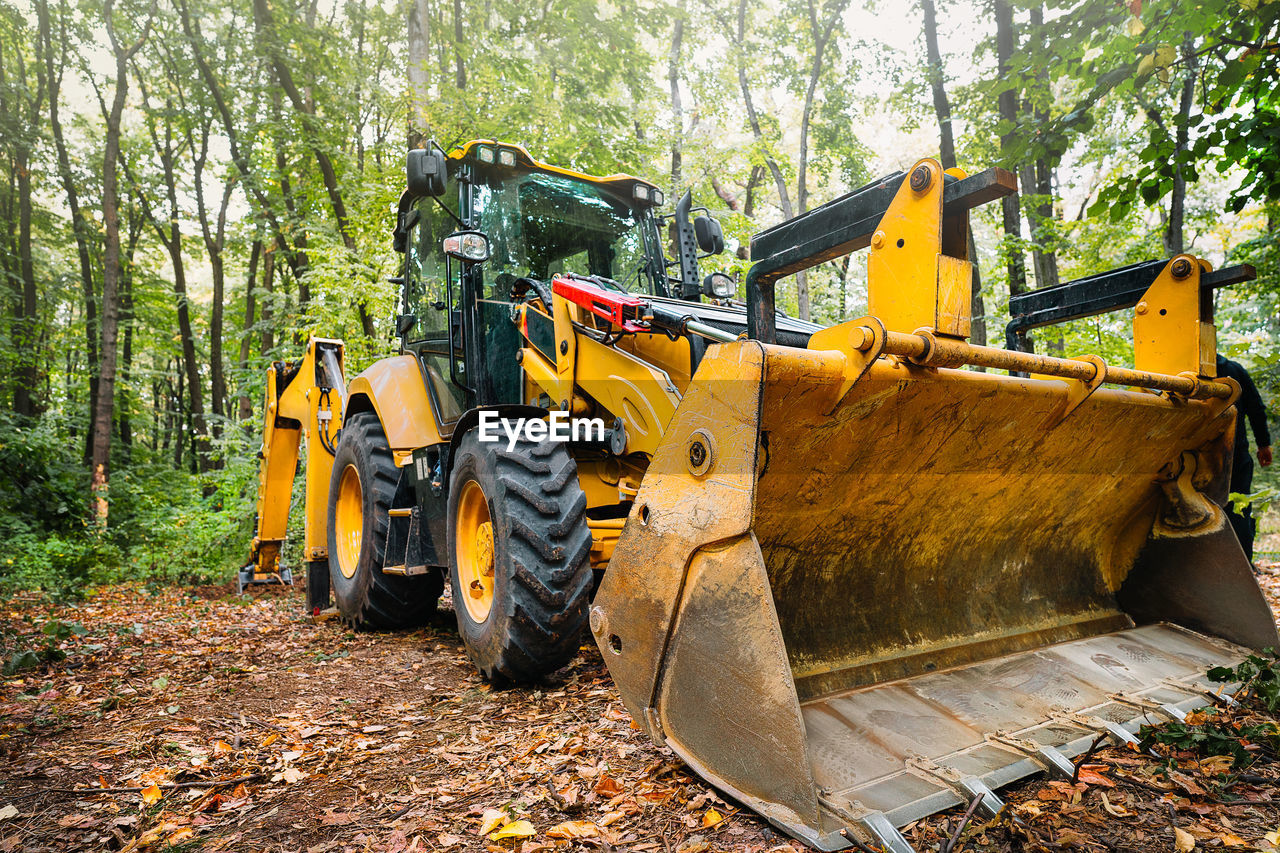 Yellow bulldozer amidst trees in forest