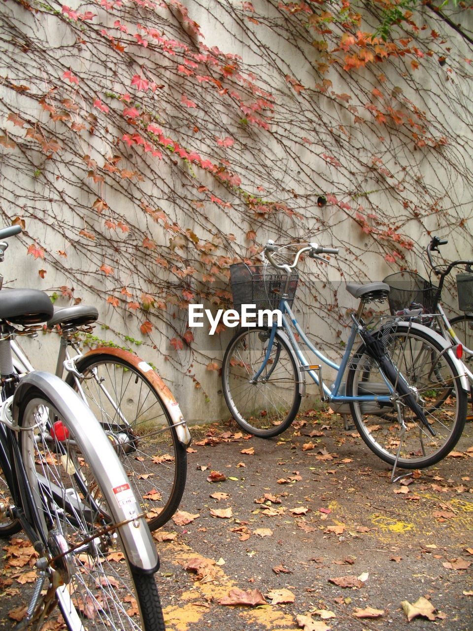 BICYCLES PARKED ON BICYCLE